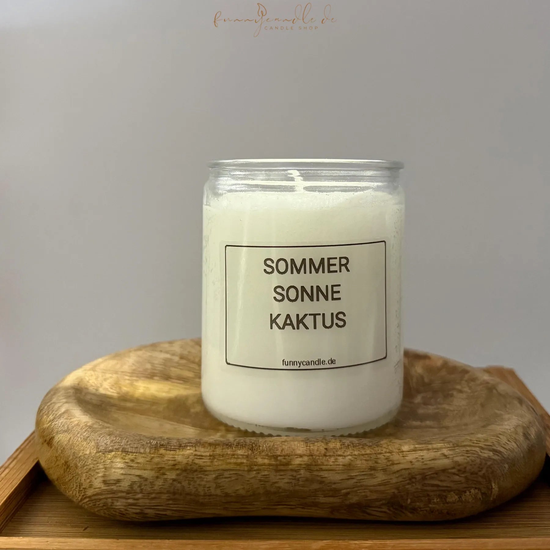 Sommer Sonne Kaktus